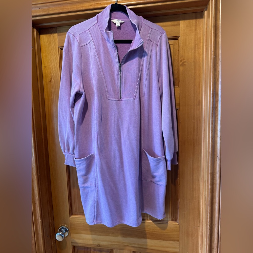 NEW Terra & Sky Purple Long Sleeve Dress